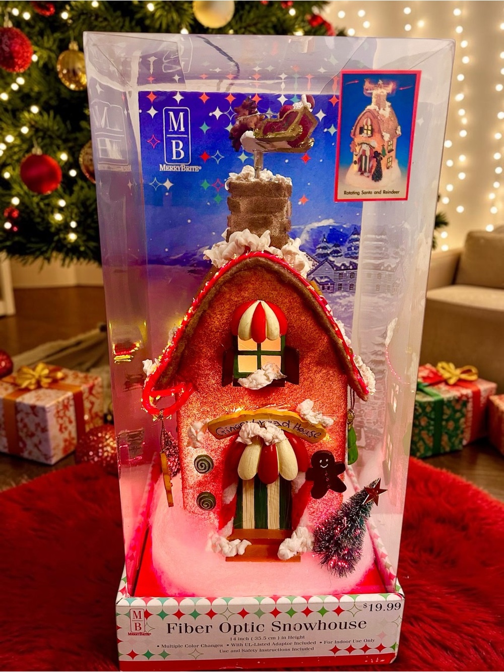 Merry Brite Fiber Optic Snow House Light Up Santa Reindeer Christmas Holiday 14"
